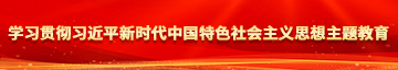 操大肉逼学习贯彻习近平新时代中国特色社会主义思想主题教育